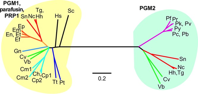 FIG 1 