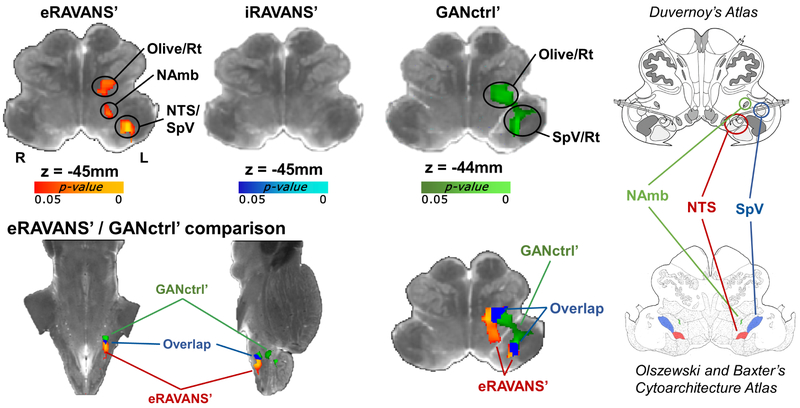 Figure 3 –