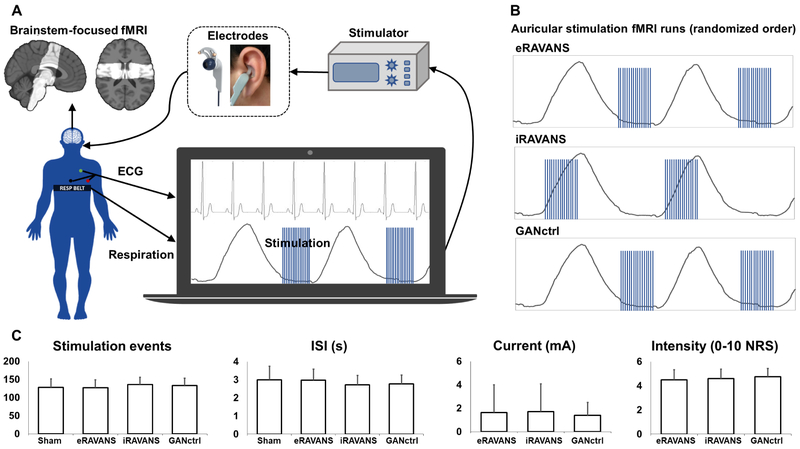 Figure 1 –