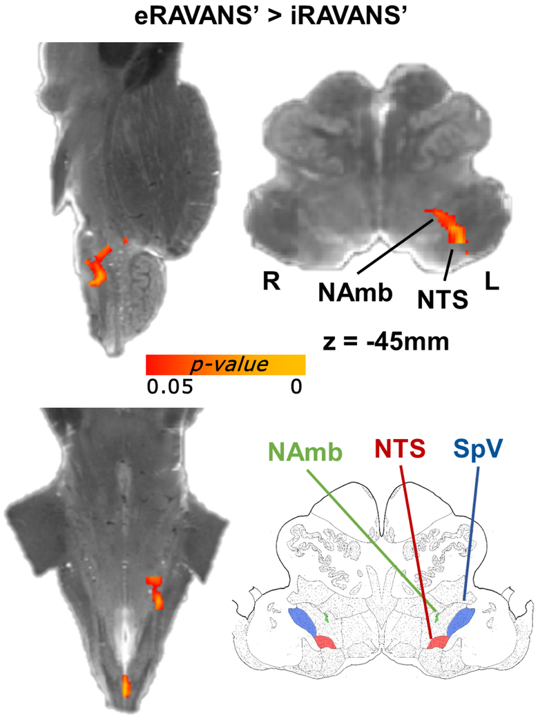 Figure 4 –