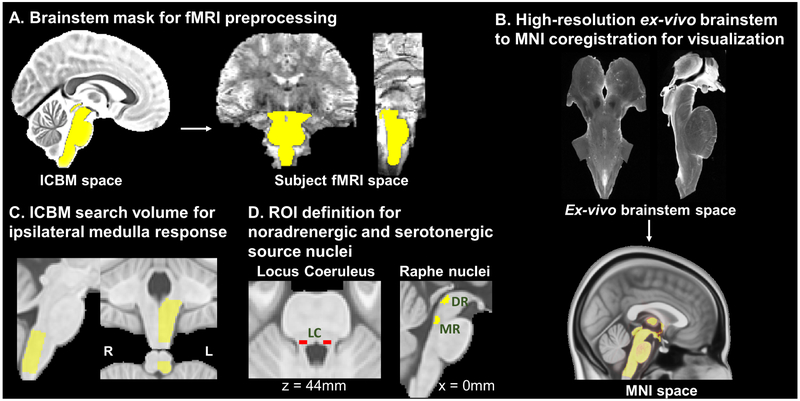 Figure 2 –