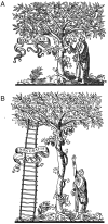 FIGURE 1:
