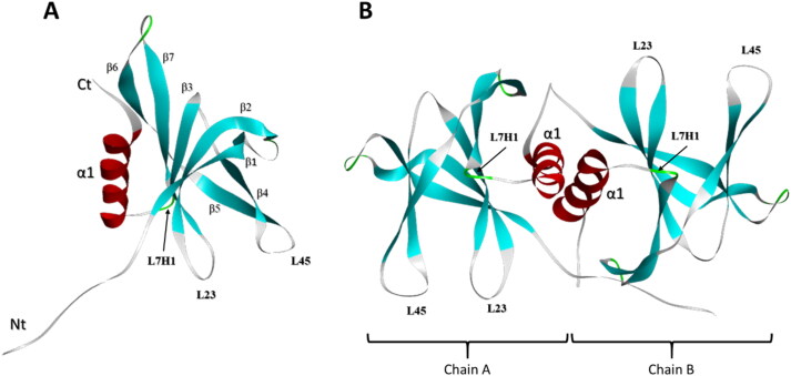 Figure 1.