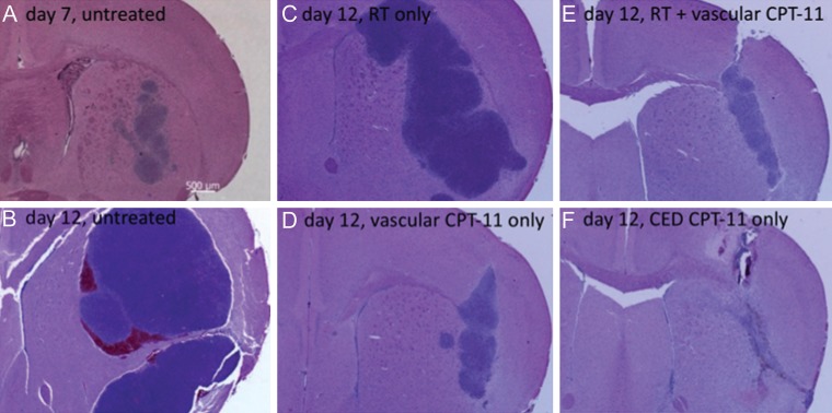 Fig. 4.