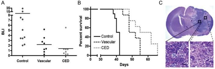 Fig. 2.