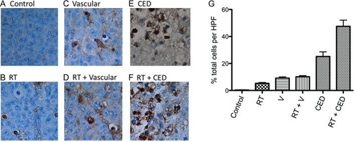 Fig. 5.