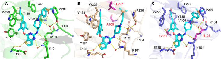 Figure 4