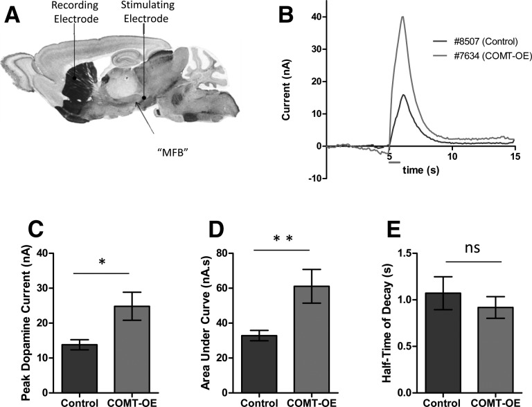 Figure 6.