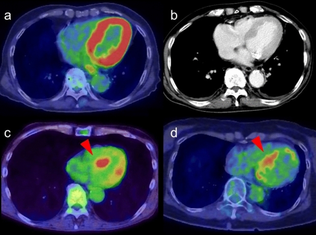 Fig. 7