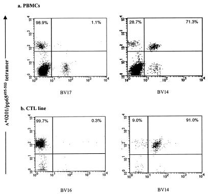 FIG. 7