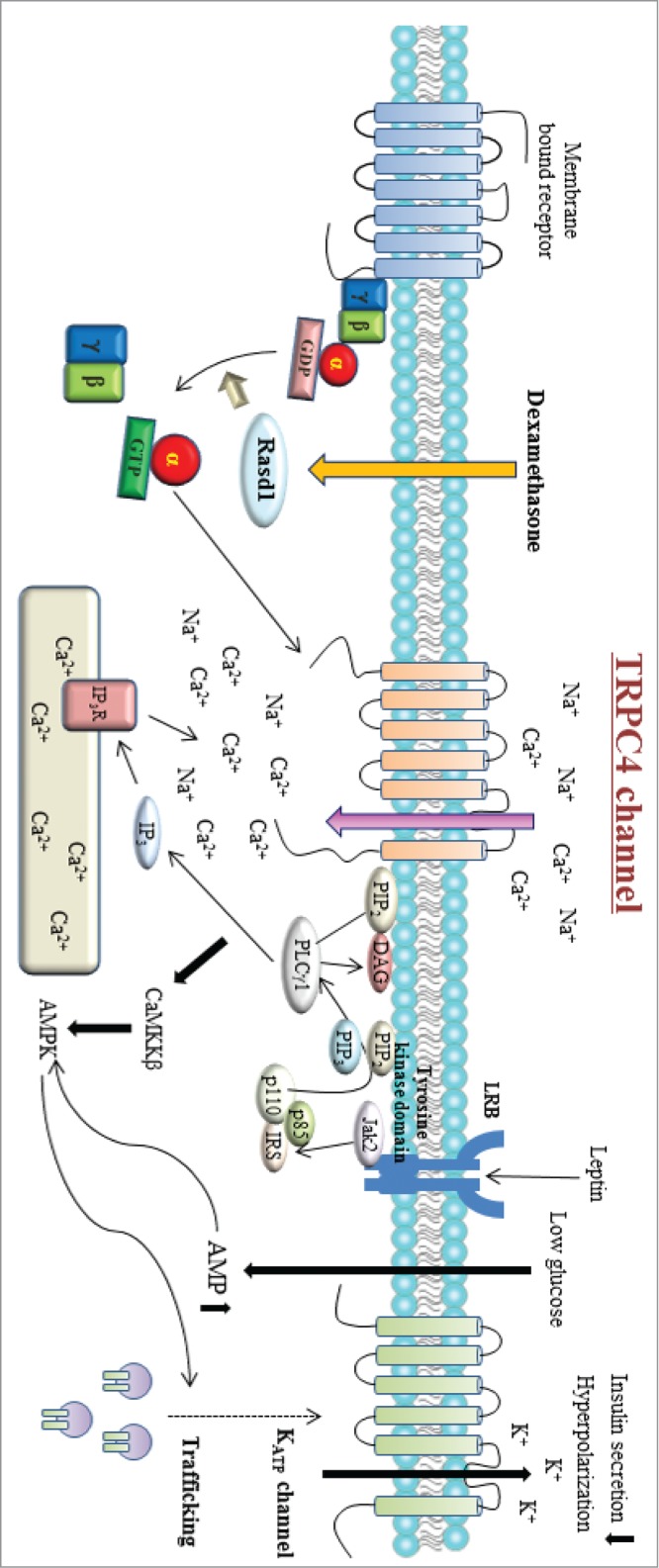 Figure 4.