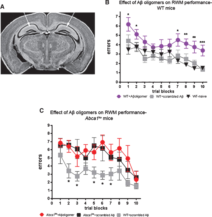 Fig.3