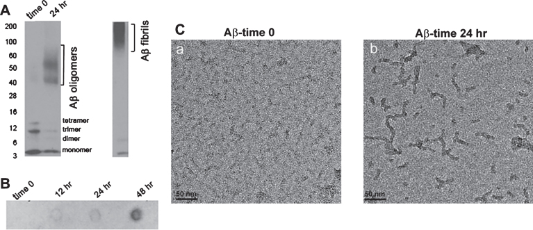 Fig.2