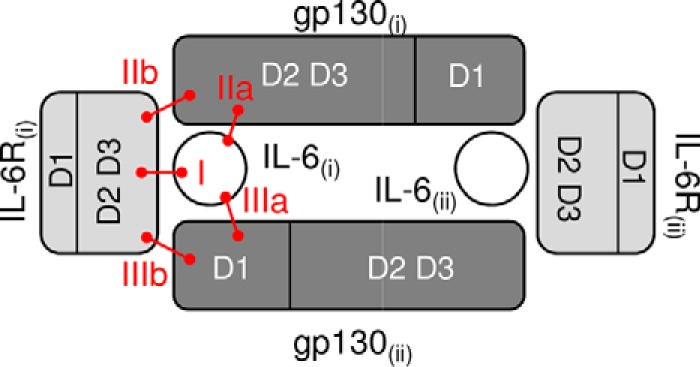 FIGURE 1.