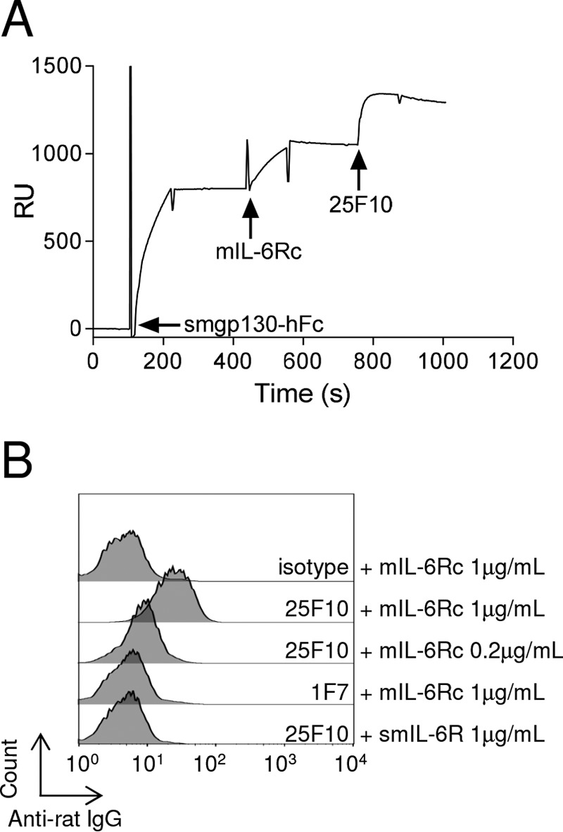 FIGURE 4.