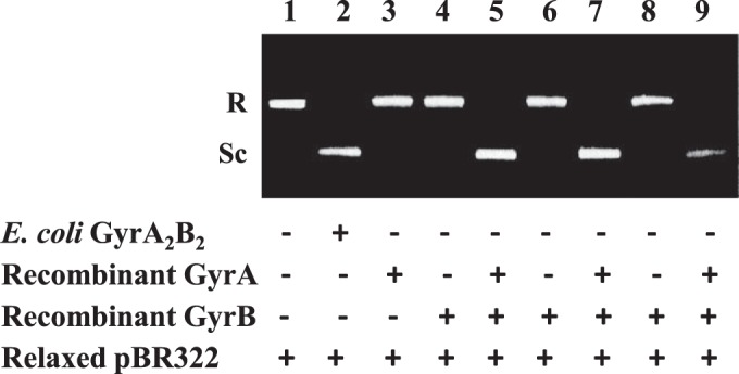 FIG 2