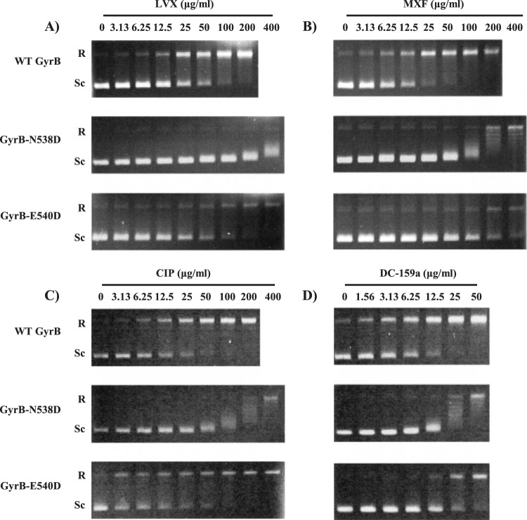 FIG 3