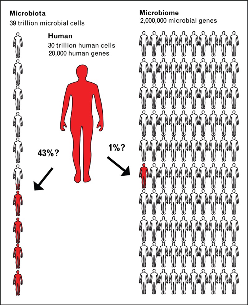 FIGURE 1