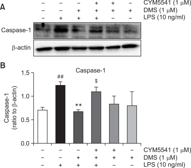 Fig. 8.