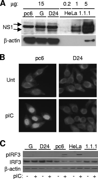 FIG. 4.