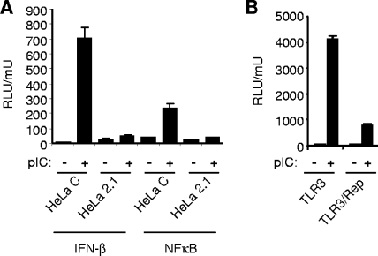 FIG. 1.