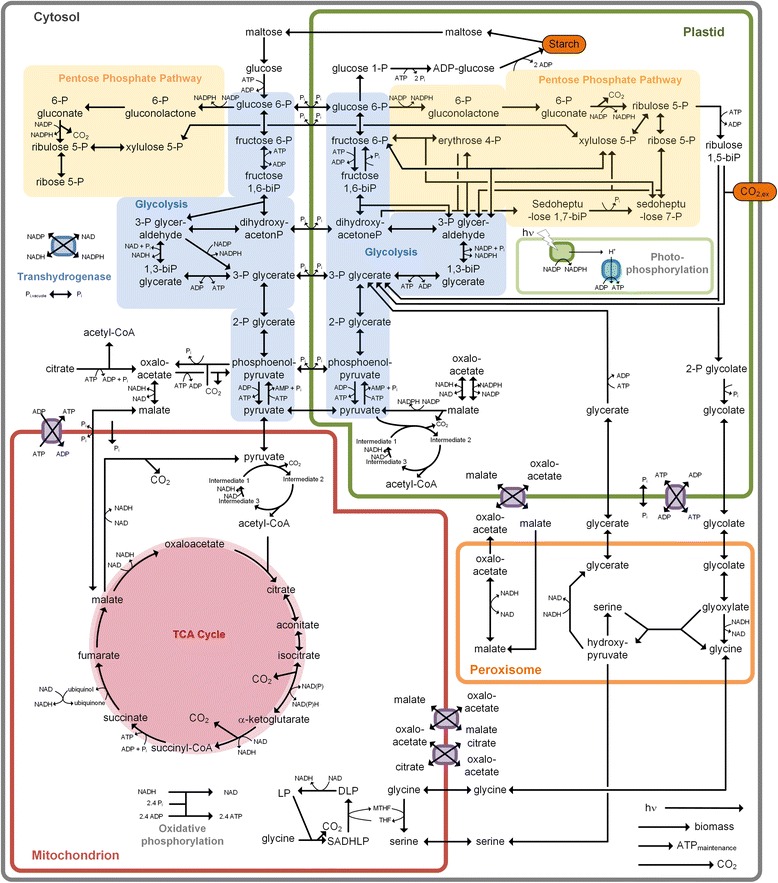 Fig. 1