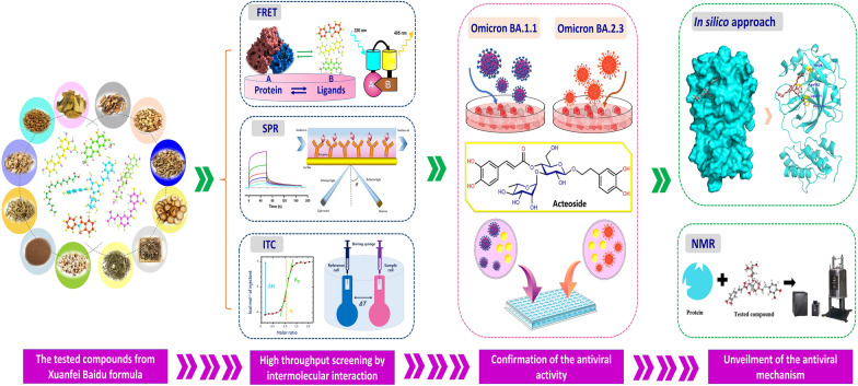 graphic file with name 13020_2023_790_Figa_HTML.jpg