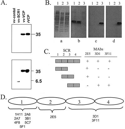 FIG. 3.