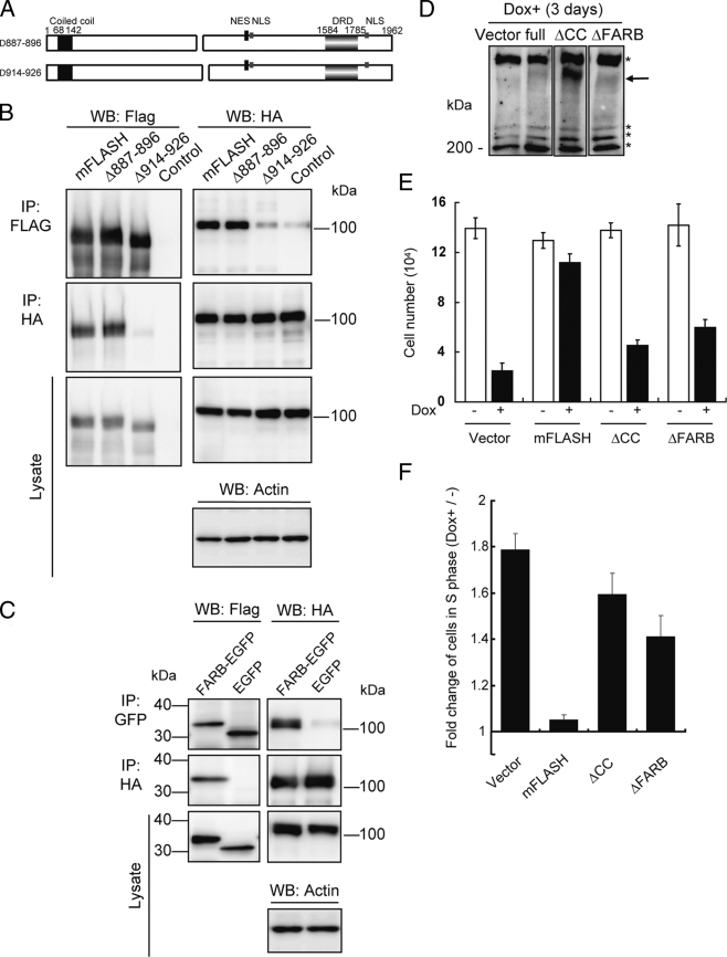 FIG. 7.