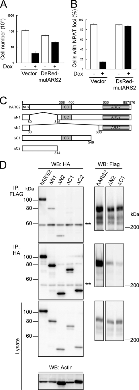 FIG. 5.