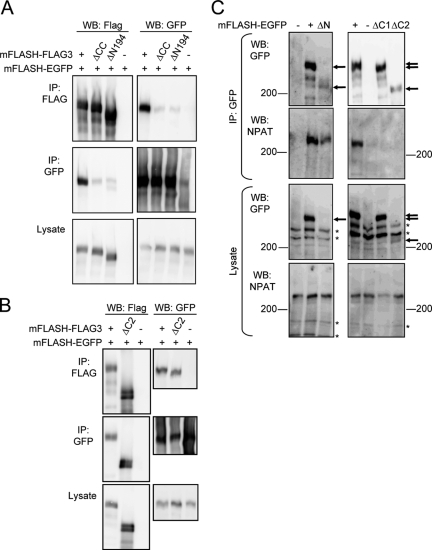 FIG. 2.