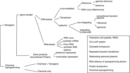 FIG. 1.