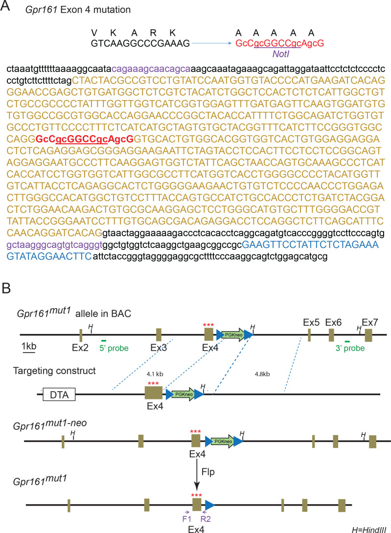 Figure 2—figure supplement 1.