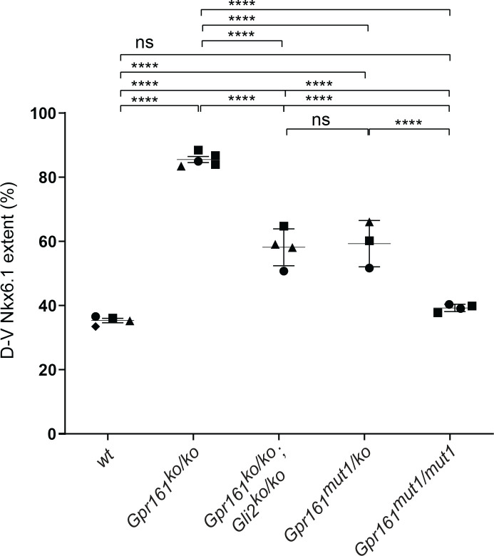 Figure 5—figure supplement 1.