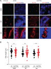 Figure 2—figure supplement 3.