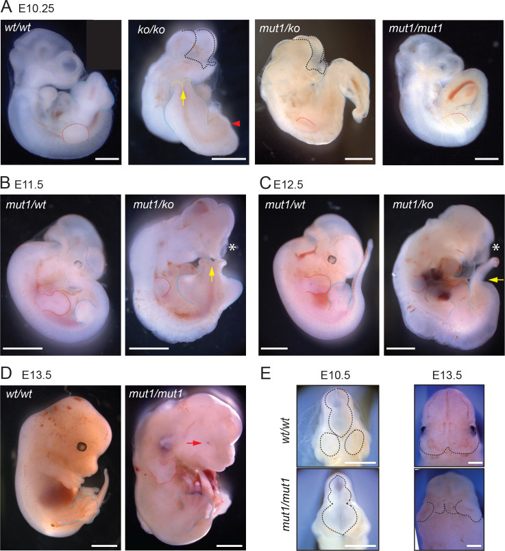 Figure 3.