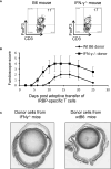 Figure 7