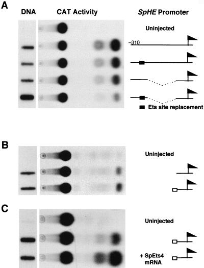 FIG. 6