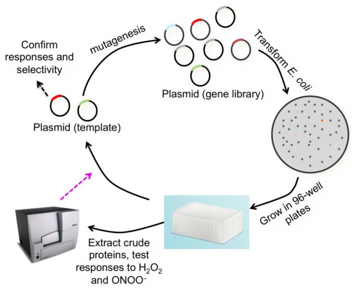 Figure 4.