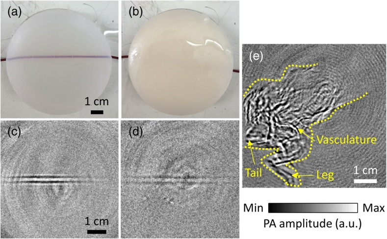 Fig. 6