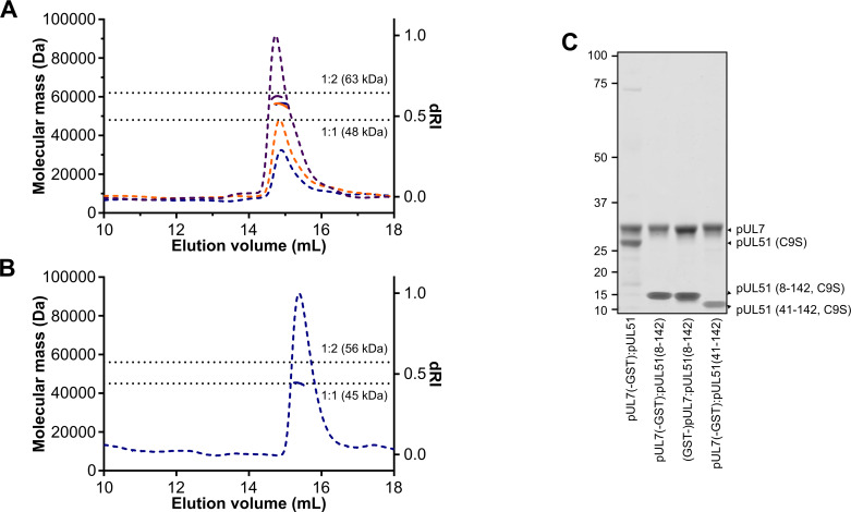 Figure 2—figure supplement 1.