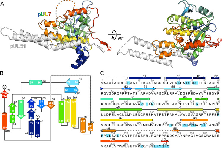 Figure 2—figure supplement 2.