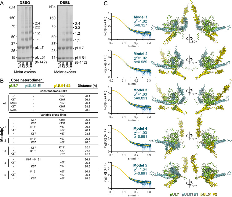 Figure 2—figure supplement 3.