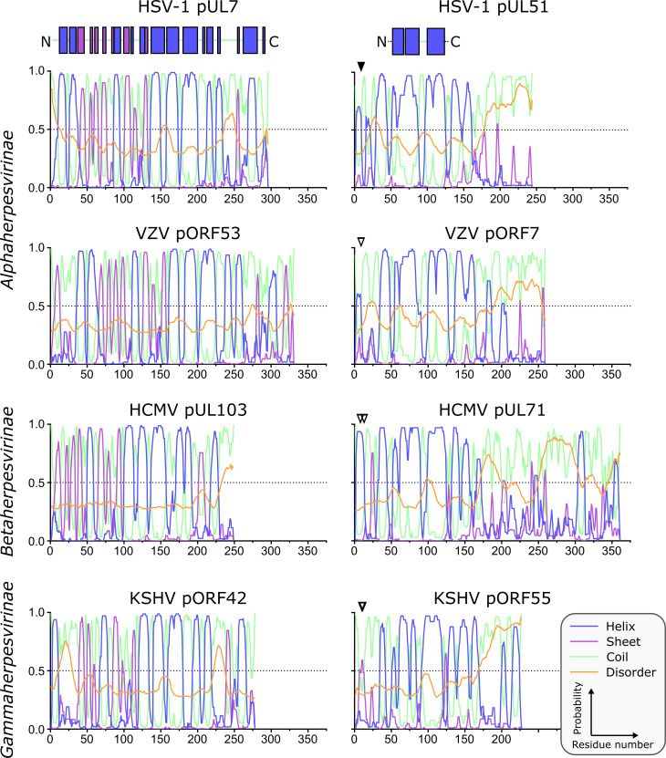 Figure 1—figure supplement 2.