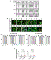 Extended Data Fig. 4.