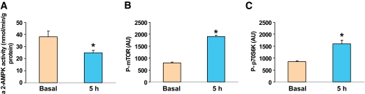 FIG. 8.