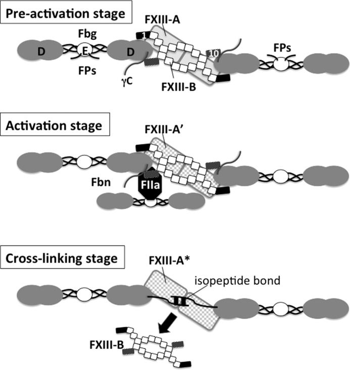 FIGURE 7.