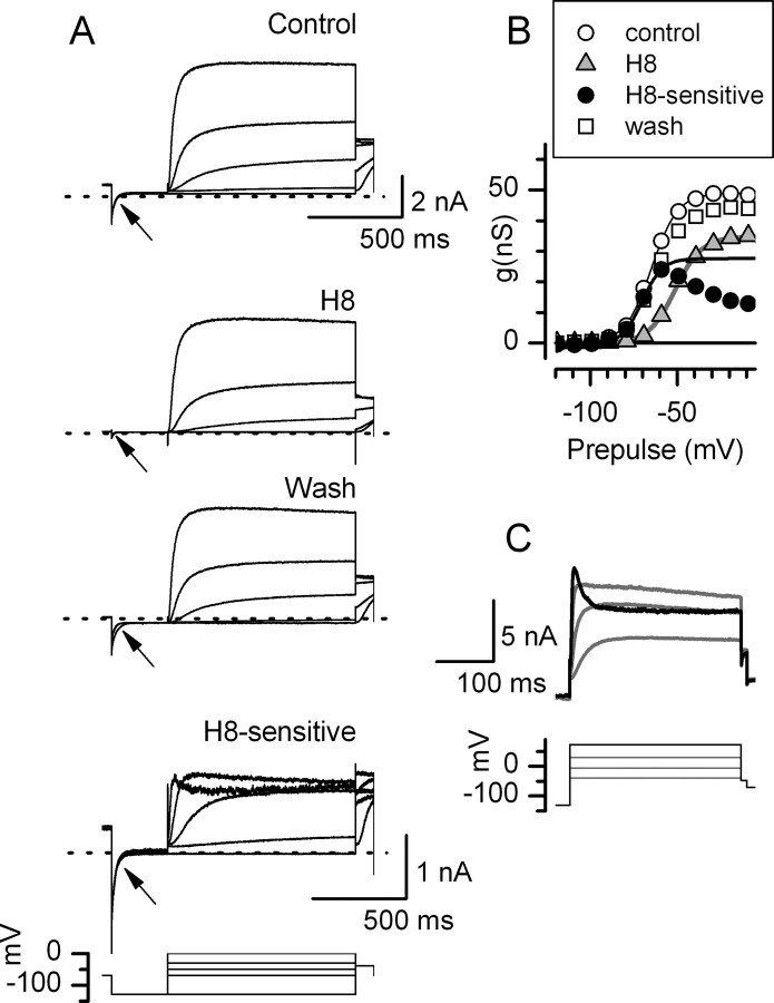 Figure 5.