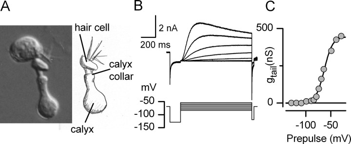 Figure 13.