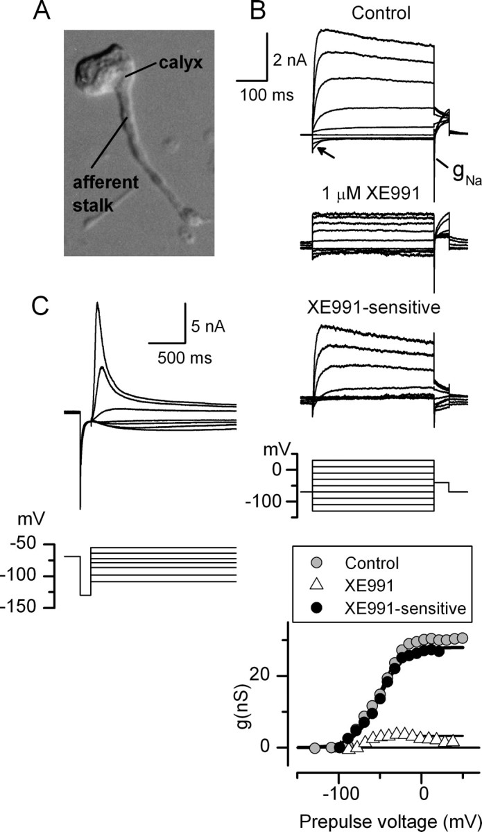 Figure 14.